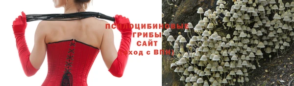 твердый Армянск