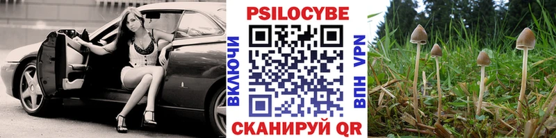 Галлюциногенные грибы ЛСД  Могоча 